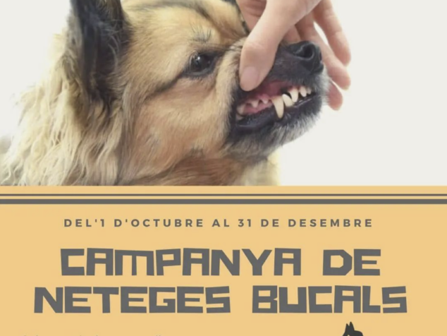 neteges-bucals